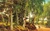 The Eyes and the Impossible ((Newbery Medal Winner)) - 9781524764234 by Dave Eggers, Shawn Harris