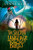 The Secret Language of Birds by Lynne Kelly, 9781524770280