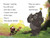 Grumpy Monkey Too Many Bugs - 9780593434673 by Suzanne Lang, Max Lang