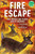 Fire Escape (How Animals and Plants Survive Wildfires) by Jessica Stremer, Michael Garland, 9780823454426