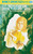 Nancy Drew 23: Mystery of the Tolling Bell by Carolyn Keene, 9780448095233