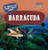 20 Things You Didn't Know About Barracuda by Leonard Clasky, 9781499444230