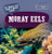 20 Things You Didn't Know About Moray Eels - 9781499444308 by Leonard Clasky, 9781499444308