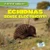 Echidnas Sense Electricity! - 9781538292884 by Louis Mallory, 9781538292884