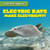 Electric Rays Make Electricity! by Louis Mallory, 9781538292969