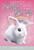 Chocolate Wishes #1 by Sue Bentley, Angela Swan, 9780448467276
