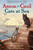 Anton and Cecil, Book 1 (Cats at Sea) by Lisa Martin, Valerie Martin, Kelly Murphy, 9781616204563