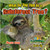 What Do You Find in a Rainforest Tree? by Megan Kopp, 9780778722618