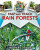 Map and Track Rain Forests by Heather C. Hudak, 9780778753704