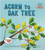Acorn to Oak Tree - 9780778763796 by Rachel Tonkin, Stephanie Fizer Coleman, 9780778763796