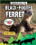 Bringing Back the Black-Footed Ferret - 9780778763246 by Rachel Stuckey, 9780778763246
