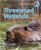Threatened Wetlands - 9780778752318 by Catherine Chambers, 9780778752318