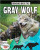 Bringing Back the Gray Wolf - 9780778749097 by Cynthia O’Brien, 9780778749097