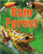 Rain Forest - 9780778778653 by Sarah Levete, 9780778778653
