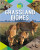 Grassland Biomes - 9780778741237 by Louise Spilsbury, 9780778741237