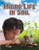 Micro Life in Soil by Natalie Hyde, 9780778754022