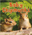 Baby Chipmunks - 9780778748977 by Bobbie Kalman, 9780778748977