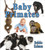 Baby Primates by Bobbie Kalman, 9780778710073