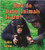 How do baby animals learn? by Bobbie Kalman, 9780778740827