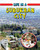 Life in a Suburban City by Lizann Flatt, 9780778774044