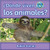 ¿Dónde viven los animales? (Where do animals live?) by Bobbie Kalman, 9780778785910