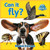 Can it fly? by Bobbie Kalman, 9780778795278