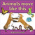 Animals move like this by Bobbie Kalman, 9780778795643