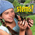 What are stems? by Molly Aloian, 9780778742227