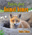 Rapping about Animal homes by Bobbie Kalman, 9780778727934