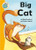 Big Cat by Pippa Goodhart, 9780778705857