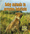 Baby animals in savanna habitats by Bobbie Kalman, 9780778777465