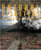 Natural Disasters: Moving Earth - 9780778775812 by Steve Parker, 9780778775812
