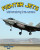 Fighter Jets: defending the skies by Lynn Peppas, 9780778727484