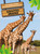 Jirafas (Giraffes) Bilingual Eng/Spa by Amy Culliford, Pablo de la Vega, 9781039803015