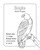Bird Book for Kids (Coloring Fun and Awesome Facts) by Katie Henries-Meisner, Andre Sibayan, 9780593690109