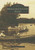 Milwaukee County Parks by Laurie Muench Albano, 9780738550848