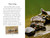 Totally Turtles! - 9780593522004 by Ginjer L. Clarke