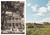 Heritage by Sean Brock, Peter Frank Edwards, 9781579654634