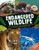 Endangered Wildlife - 9781645175353 by Editors of Silver Dolphin Books, 9781645175353