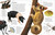 Encyclopedia of Animals by DK, 9780756619725