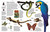 Encyclopedia of Animals by DK, 9780756619725