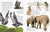 Encyclopedia of Animals by DK, 9780756619725