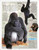 Encyclopedia of Animals by DK, 9780756619725