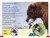 DK Super Readers Pre-level Bilingual A Bear's Tale â€“ Relato de un oso - 9780744094909 by DK