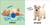 Baby Touch and Feel: Animals by DK, 9780756634681