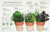 The Cook's Herb Garden (Grow, Harvest, Cook) by DK, 9780756658694