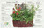 The Cook's Herb Garden (Grow, Harvest, Cook) by DK, 9780756658694
