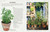 The Cook's Herb Garden (Grow, Harvest, Cook) by DK, 9780756658694