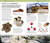 Nature Guide: Rocks and Minerals (The World in Your Hands) by DK, 9780756690427