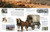 Eyewitness Horse by DK, 9780593842416